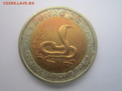 кк 1992 Кобра до 23.07.2017 в 22:30 - IMG_4725.JPG