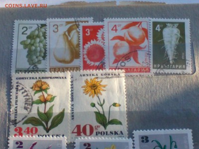 Марки с 1947 года на оценку - IMG755