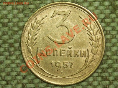 5к.3к.2к.1957г. до 28.02.11г. 22.00(мск) - SPA50274.JPG