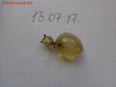 Брошь муравей под янтарь  до 25.7 в 21-00 мск - DSC01460.JPG