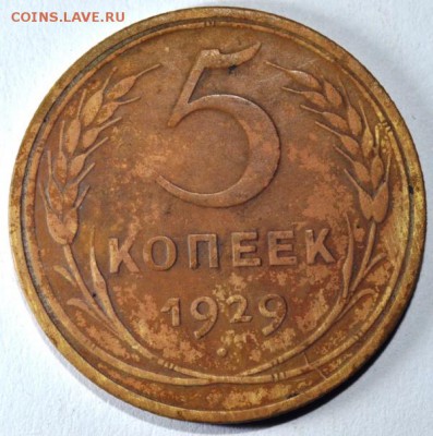 5 копеек 1929 г. - DSC_5010.JPG