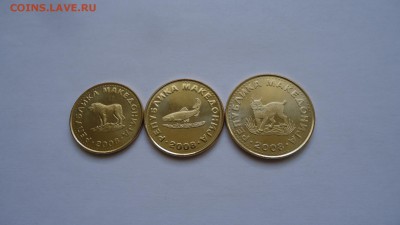 МАКЕДОНИЯ 1,2,5 ДЕНАР 2008 ЖИВОТНЫЕ UNC - DSC04430.JPG
