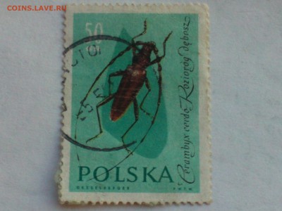 Марки с 1947 года на оценку - IMG773