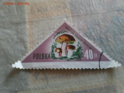Марки с 1947 года на оценку - IMG798