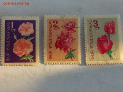 Марки с 1947 года на оценку - БОЛГАРИЯ 1962 ДЕКОРАТИВНЫЕ И МАСЛИЧНЫЕ РОЗЫ