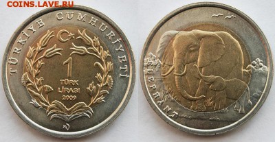 Биметалл!! Турция 1 лира 2009 Слон - 0_4fefd_ccd5107_XL