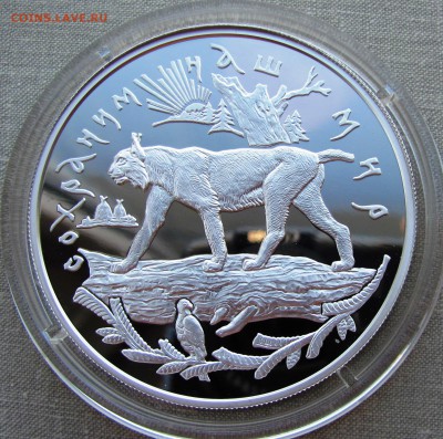 25 рублей 1995 года. Рысь. Ag. До 25.07.17 22-00 МСК - IMG_9780.JPG