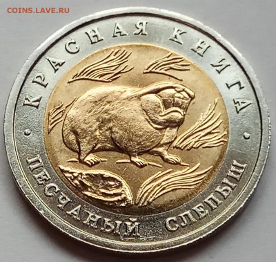 КК 50 руб. 1994 г. "Слепыш", до 27.07., в 22.20 МСК - IMG_20170722_184714 копия