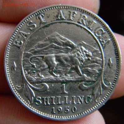шиллинг восточная африка 1950 - DSCN0949.JPG