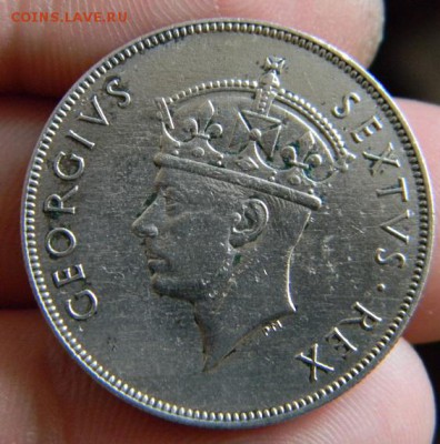 шиллинг восточная африка 1950 - DSCN0950.JPG