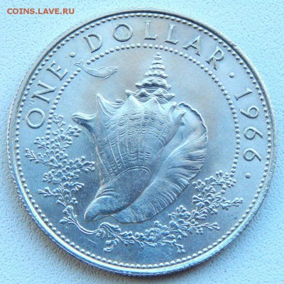 Багамские острова 1 доллар 1966(раковина) до 27.07.17 - DSCN7217.JPG