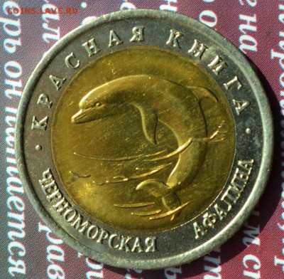 КК 1993 Черноморская афалина до 31.07 в 22:45 - афалина а