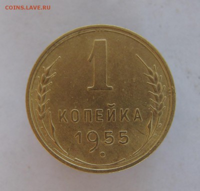 1 копейка 1955 год. до 1.08 в 22-00. - IMG_8970.JPG