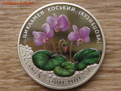 Украина 2 грн. 2013 Цикламен до 31.07.17 в 22.00М - IMG_2222.JPG