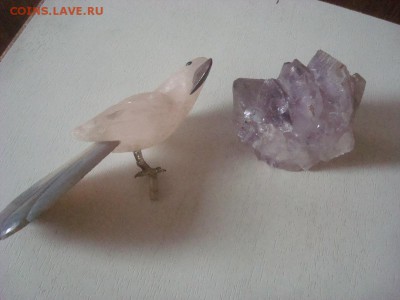 Попугай, сделанный из минералов? - DSC03091.JPG