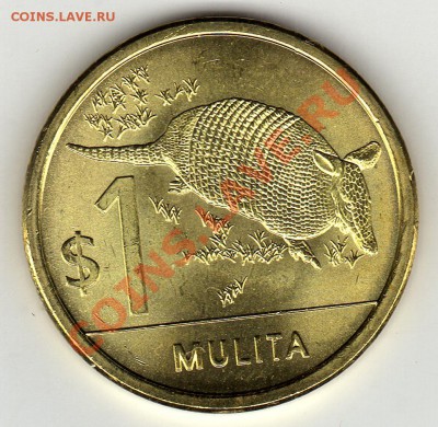 Уругвай песо 2011 Броненосец до 03.03.11 в 22.00мск - img290