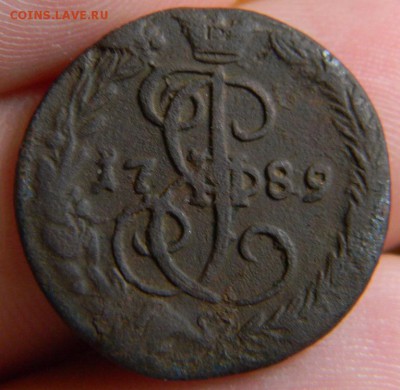 денга 1789 - DSCN0771.JPG