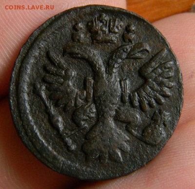 денга 1735 - DSCN0781.JPG