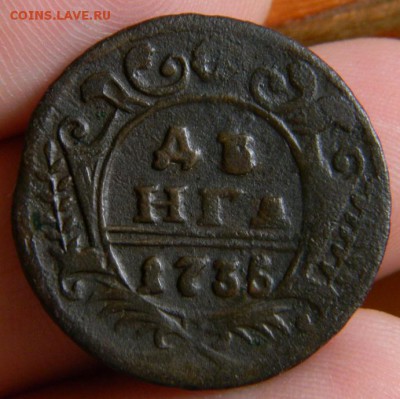 денга 1735 - DSCN0782.JPG