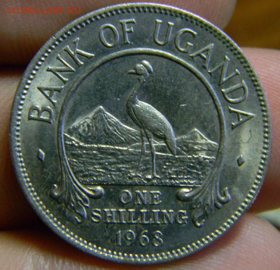 шиллинг 1968 уганда - DSCN1120.JPG