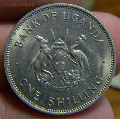 шиллинг 1968 уганда - DSCN1119.JPG