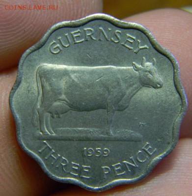 3 пенса гернси 1959 - DSCN1101.JPG