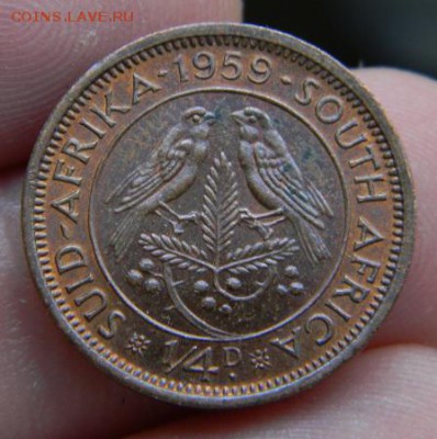 фартинг юар 1959 - DSCN0905.JPG