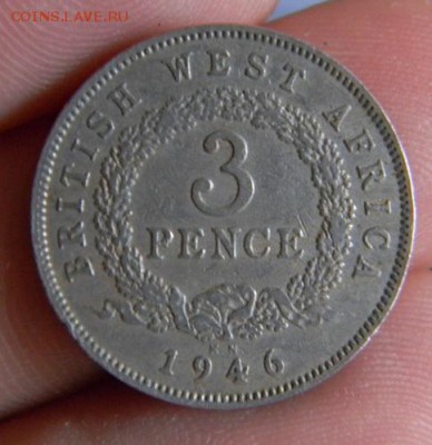 западная африка 3 пенса 1946 - DSCN0881.JPG