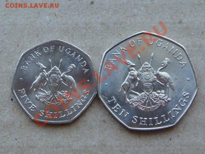 -v- Уганда 5+10 шиллингов 1987 до 3.03(21.00) - DSC00837.JPG
