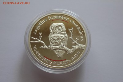 Армения 100 драм 2008 Мохноногий сыч до 3.08. - IMG_6749.JPG