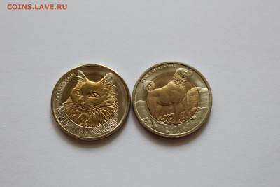Турция 1 лира 2010 Кошка и Собака UNC до 03.08 - IMG_6776.JPG