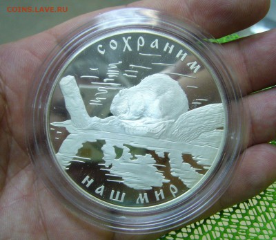 25 рублей 2008 - Сохраним наш мир - 3