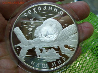 25 рублей 2008 - Сохраним наш мир - 33