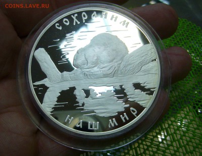 25 рублей 2008 - Сохраним наш мир - 333