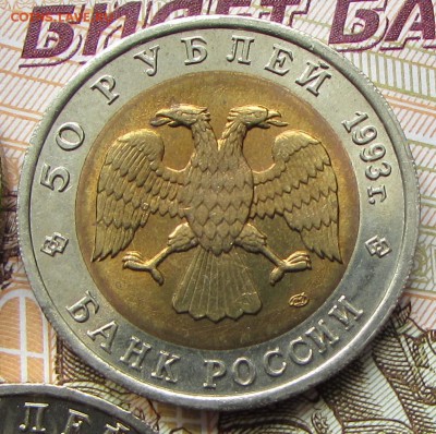 КК Туркменский Эублефар 50 р. 1993 г. до 04.08.17 г. 21:00 - IMG_5045.JPG