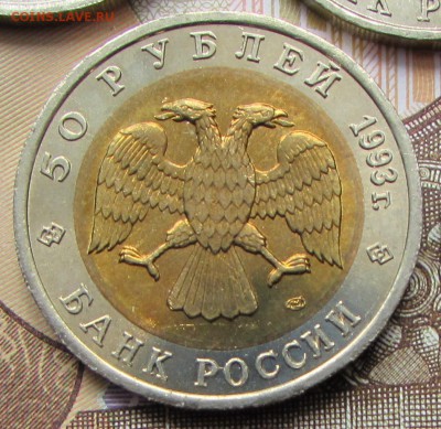 КК Гималайский Медведь 50 р. 1993 г. до 04.08.2017 21:00 - IMG_5047.JPG