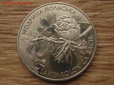 Украина 2 грн. 2001 Модрина Польская до 04.08.17 в 22.00М - IMG_2853.JPG