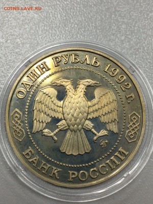 ЛОБАЧЕВСКИЙ ПРУФ с 200 до 09.08.2017 - IMG_1125.JPG
