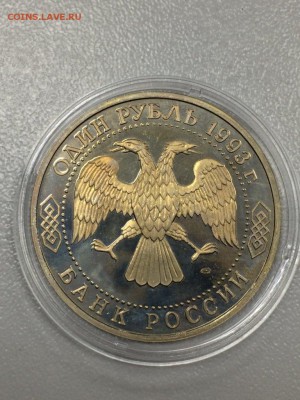 ВЕРНАДСКИЙ ПРУФ с 200 до 09.08.2017 - IMG_1135.JPG