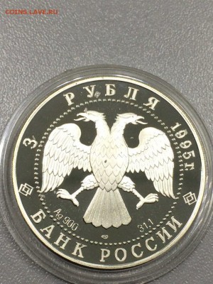 РЫСЬ с 200 до 09.08.2017 - IMG_1147.JPG