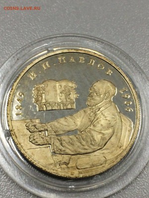 ПАВЛОВ с 200 до 09.08.2017 - IMG_1150.JPG