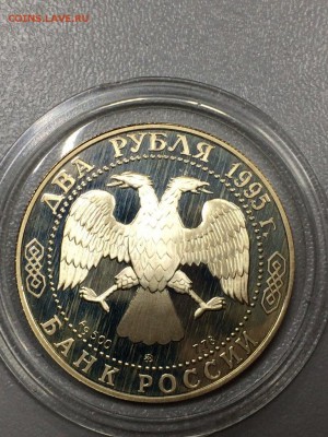 БУНИН с 200 до 09.08.2017 - IMG_1157.JPG