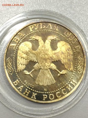 ГОЛЕНИЩЕВ_КУТУЗОВ СМОЛЕНСКИЙ с 200 до 09.08.2017 - IMG_1169.JPG