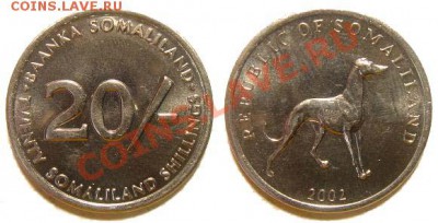 5 монет Сомалиленда 2002-05 г. до 04.03.11 22-00 мск - 20_shillings_2002.JPG