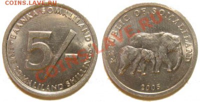 5 монет Сомалиленда 2002-05 г. до 04.03.11 22-00 мск - 5_shillings_2005.JPG