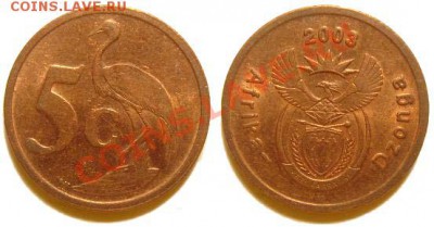 4 монеты Южная Африка 2003-09 г. до 04.03.11 22-00 мск - 5 центов 2003.JPG
