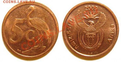 4 монеты Южная Африка 2003-09 г. до 04.03.11 22-00 мск - 5 центов 2009.JPG