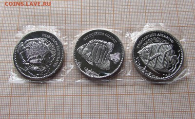 Остров Авокарде 10 рупий 2013г Рыбы(3шт).До 8.08 в 22:00 - IMG_7562.JPG