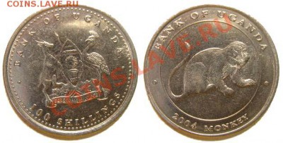 5 монет Уганды (обезьяны) 2004 г. до 04.03.11 22-00 мск - 100_shillings_2004.JPG