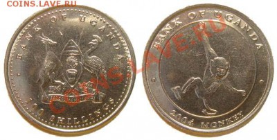 5 монет Уганды (обезьяны) 2004 г. до 04.03.11 22-00 мск - 100_shillings_2004_1.JPG